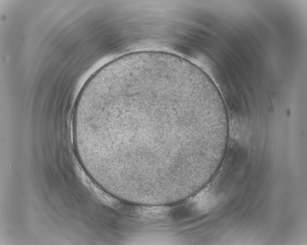 X0000056331150200509092322