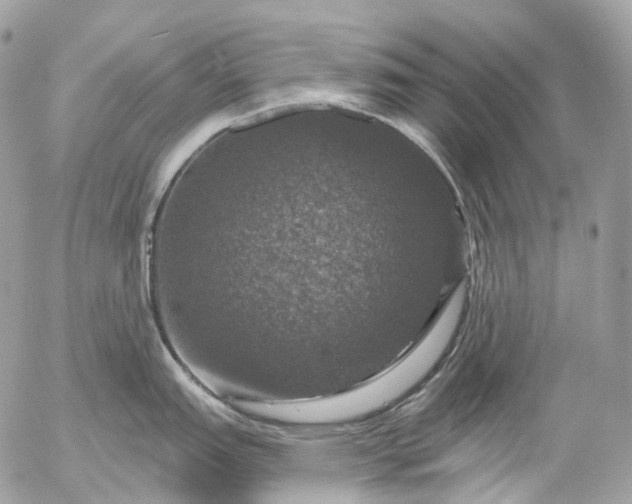 X0000056331151200509092322