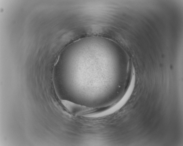 X0000056331153200509092321