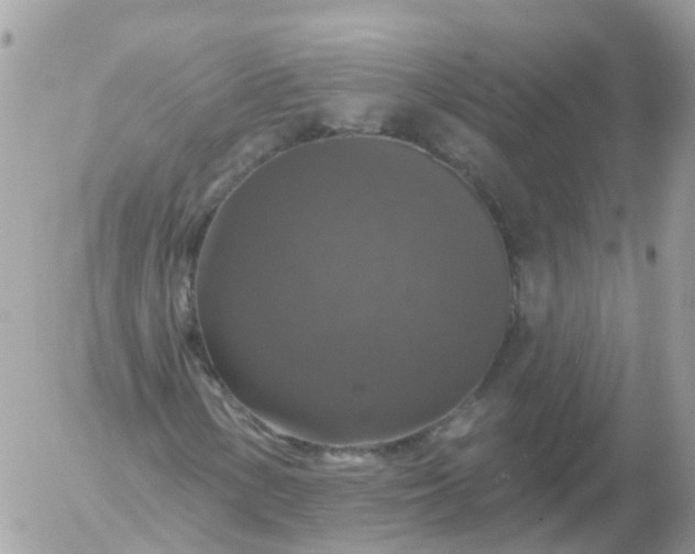 X0000056331154200509092321