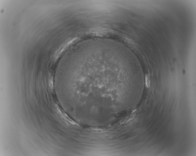 X0000056331155200509092321