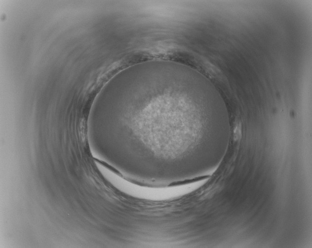 X0000056331156200509092321