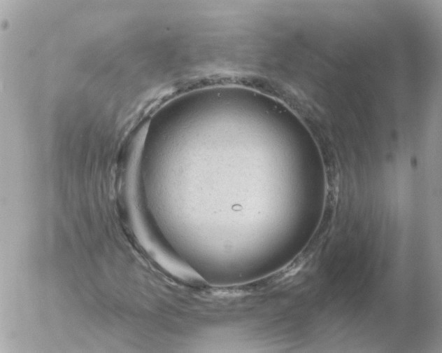 X0000056331157200509092321