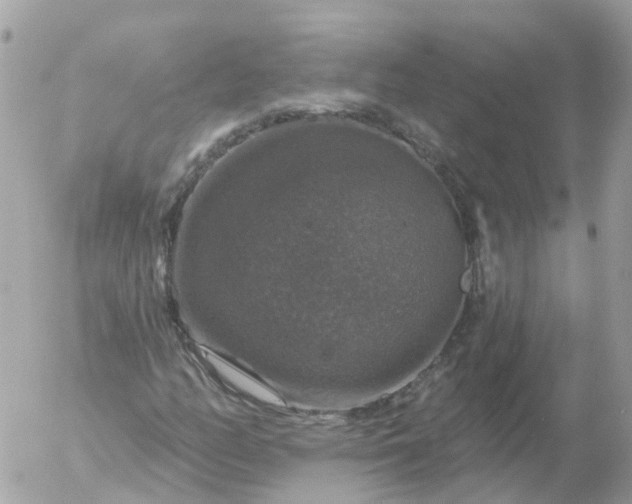 X0000056331158200509092321