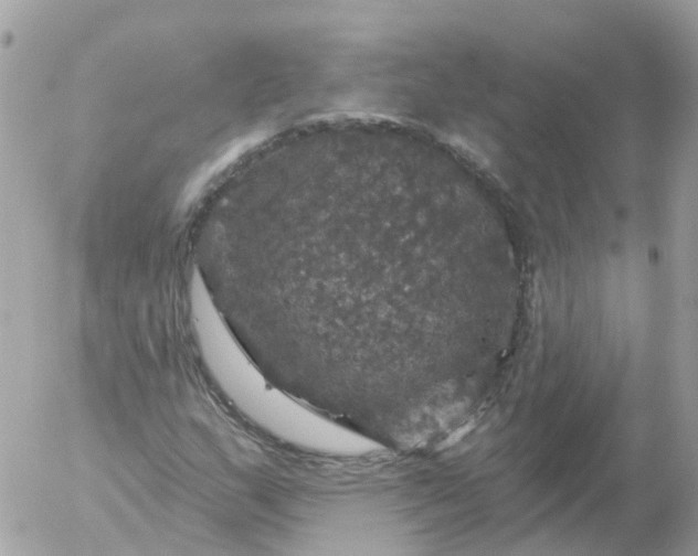 X0000056331159200509092321