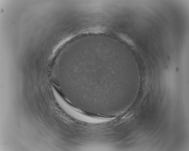 X0000056331160200509092321