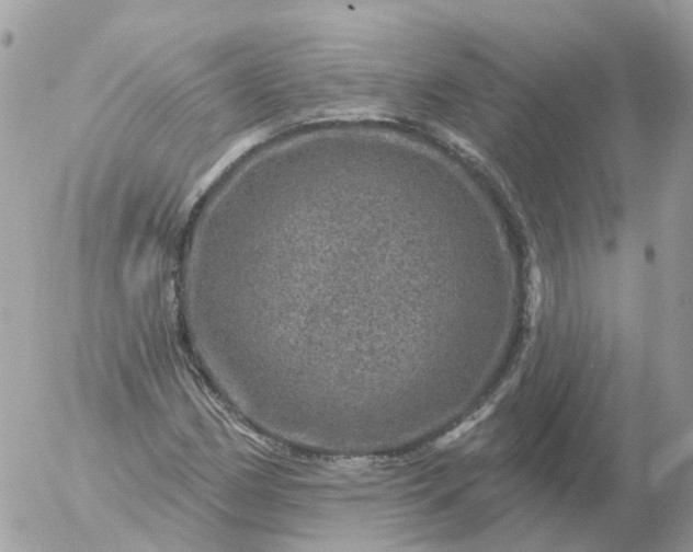 X0000056331162200509092321