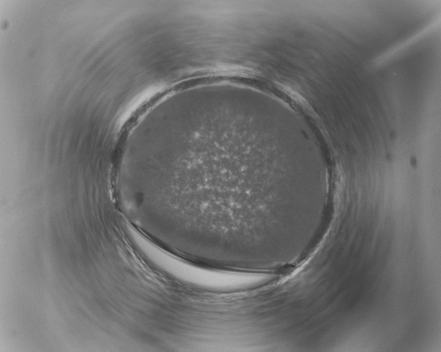 X0000056331163200509092321