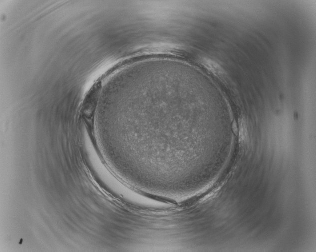 X0000056331164200509092321