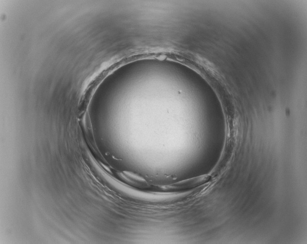 X0000056331165200509092321