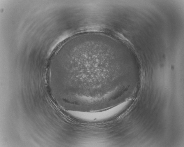 X0000056331166200509092321