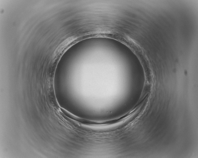 X0000056331169200509092321