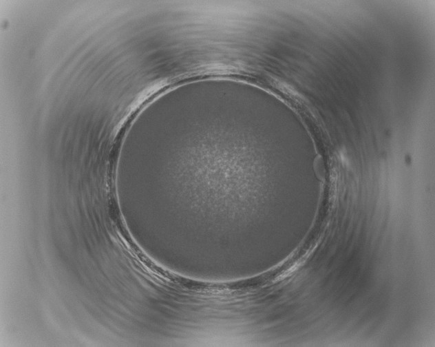 X0000056331170200509092321