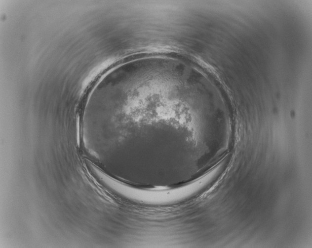 X0000056331171200509092321