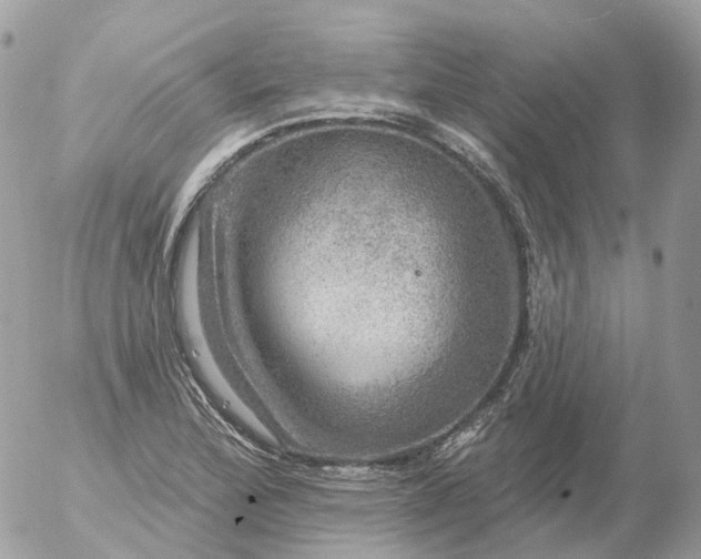 X0000056331172200509092321