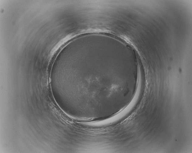 X0000056331173200509092321