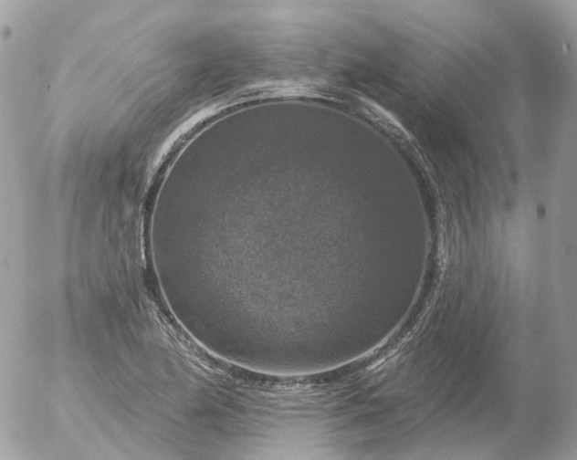 X0000056331174200509092321