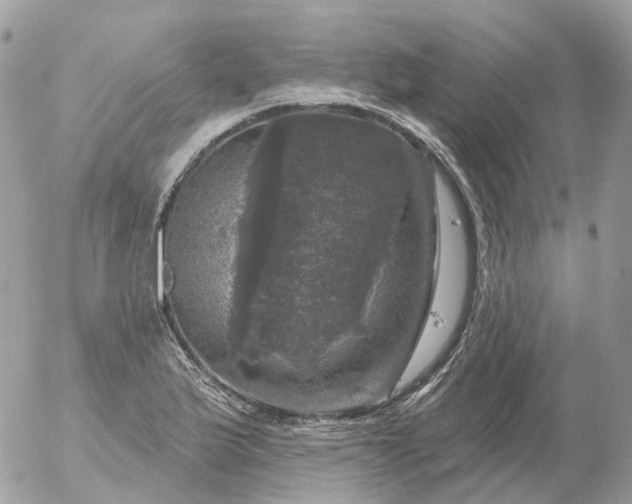 X0000056331175200509092321