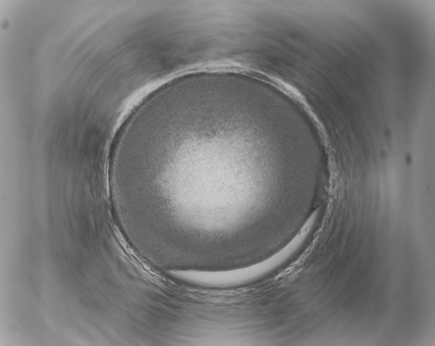 X0000056331176200509092321