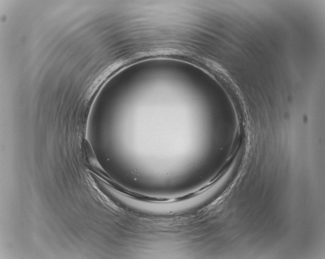 X0000056331177200509092321