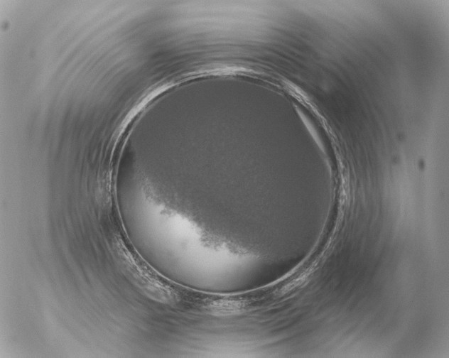 X0000056331178200509092321