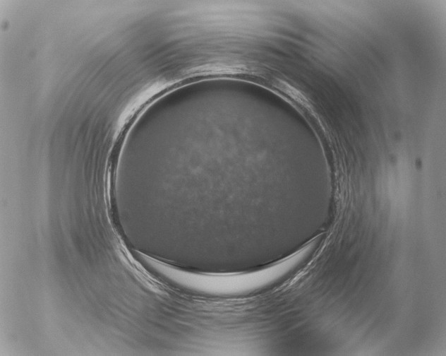 X0000056331179200509092321