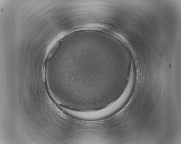 X0000056331180200509092321