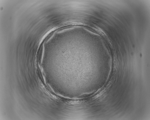 X0000056331182200509092321