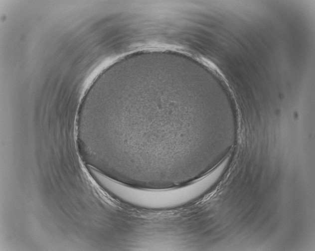 X0000056331183200509092320