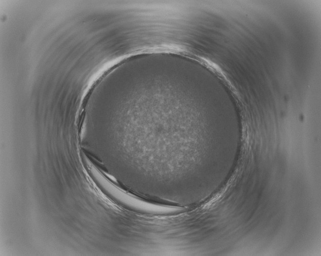 X0000056331184200509092320