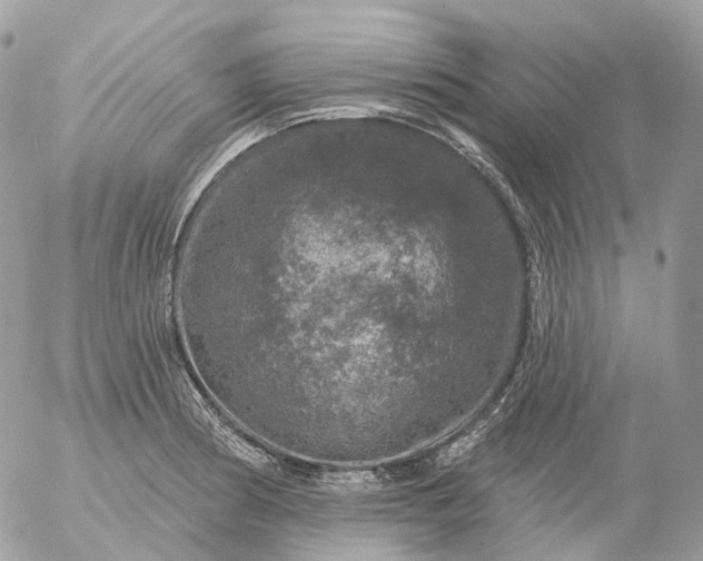 X0000056331186200509092320