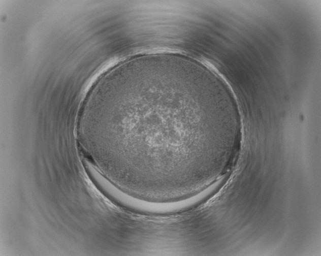 X0000056331189200509092320