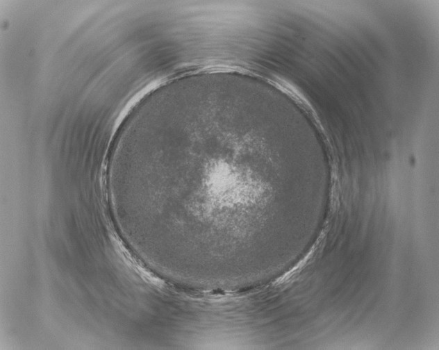 X0000056331190200509092320