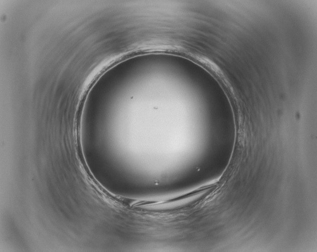 X0000056331191200509092320