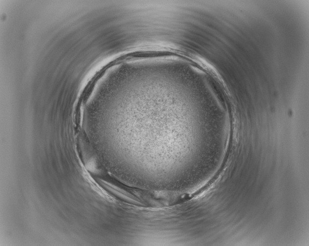 X0000056331192200509092320