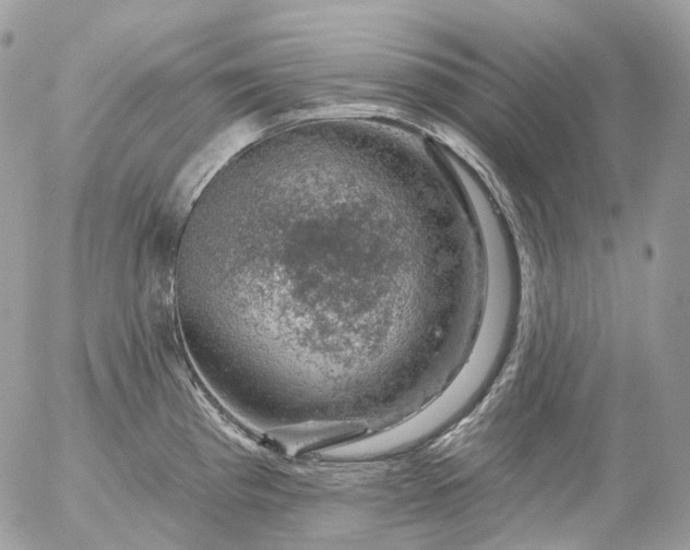 X0000056331193200509092320