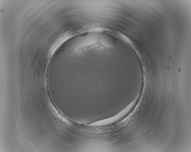 X0000056331194200509092320