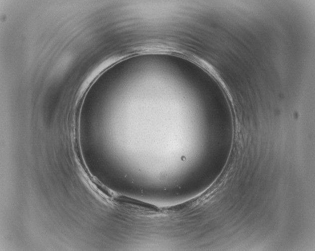 X0000056331195200509092320