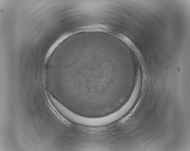 X0000056331196200509092320