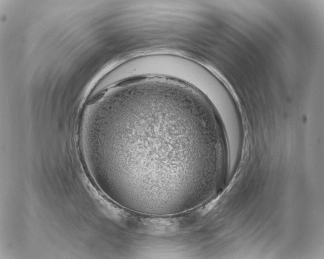 X0000056331197200509092320