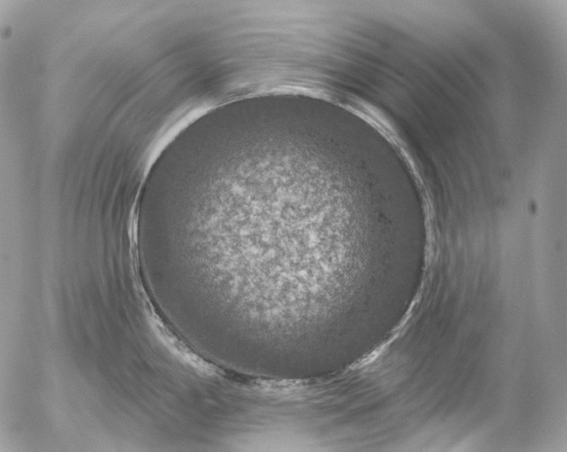 X0000056331198200509092320