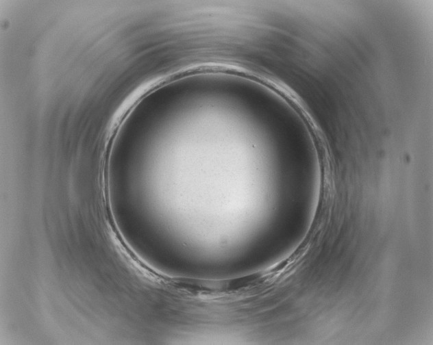 X0000056331199200509092320