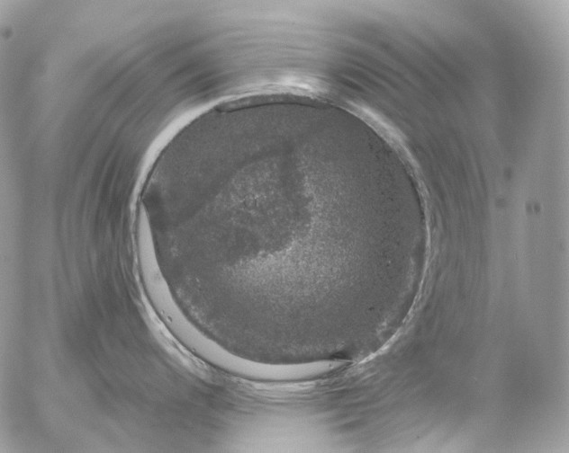 X0000056331200200509092320