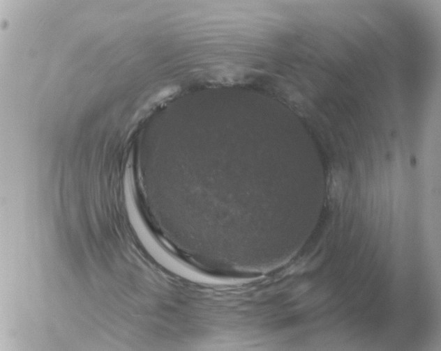 X0000056331202200509092319