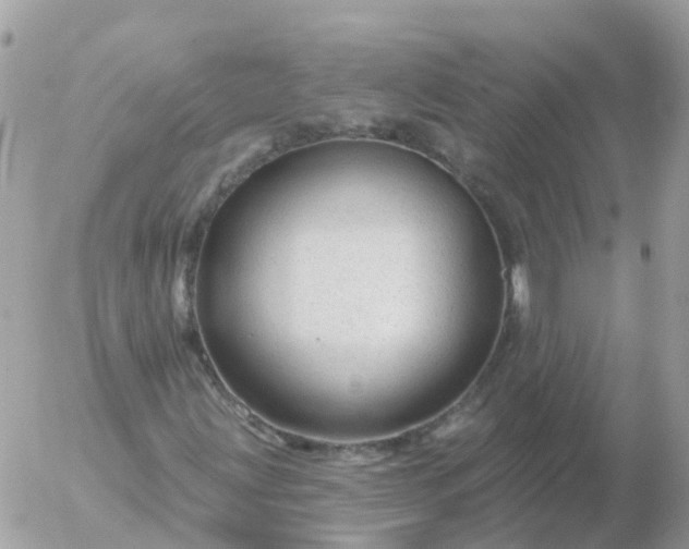 X0000056331203200509092319