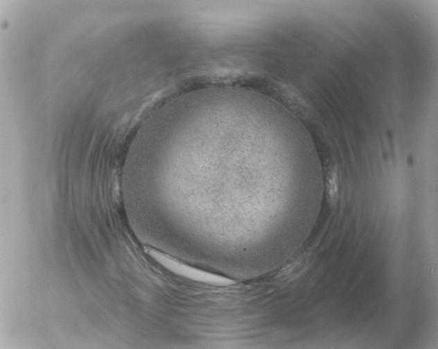 X0000056331204200509092319