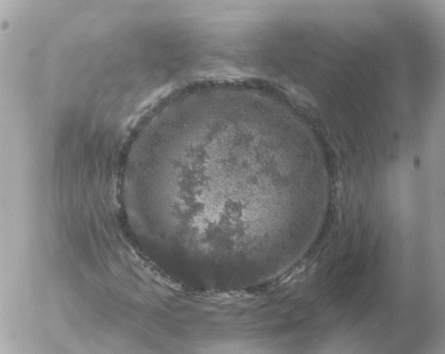 X0000056331205200509092319