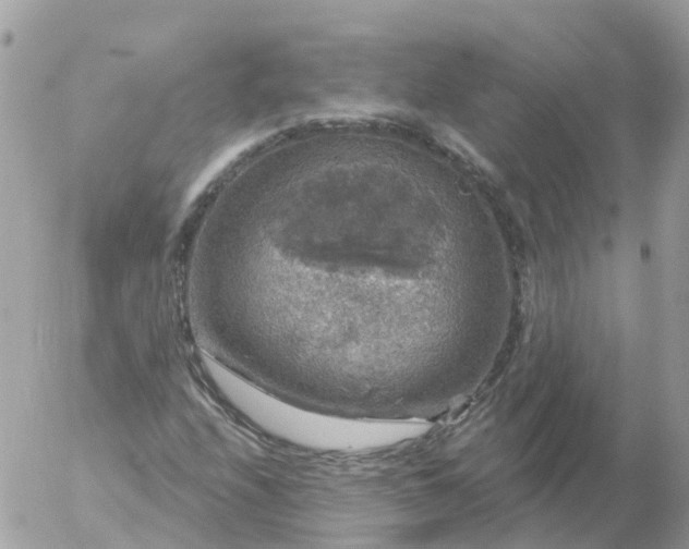 X0000056331208200509092320