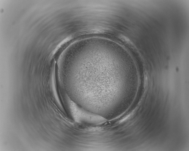 X0000056331210200509092320