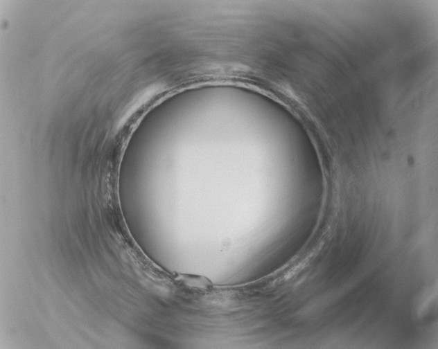 X0000056331211200509092320